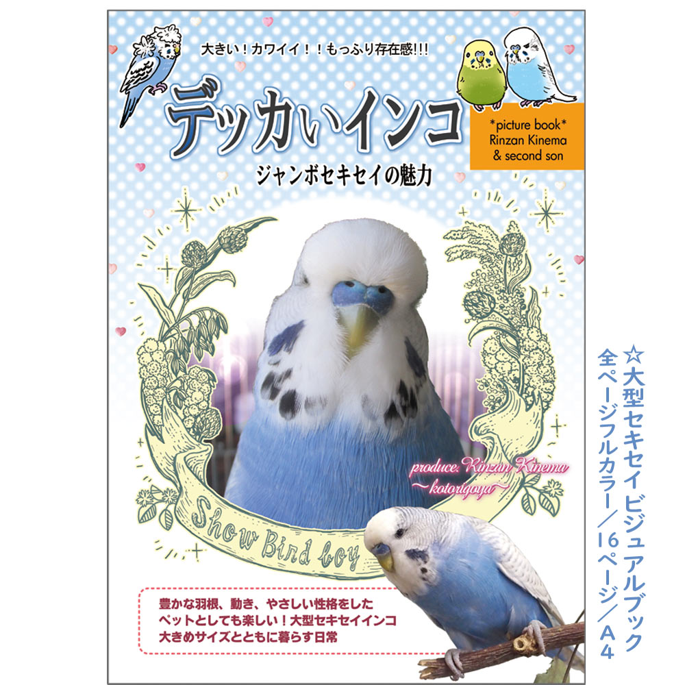 楽天市場】ことり御屋 書籍 デッカいインコ 234A0231 ネコポス 対応