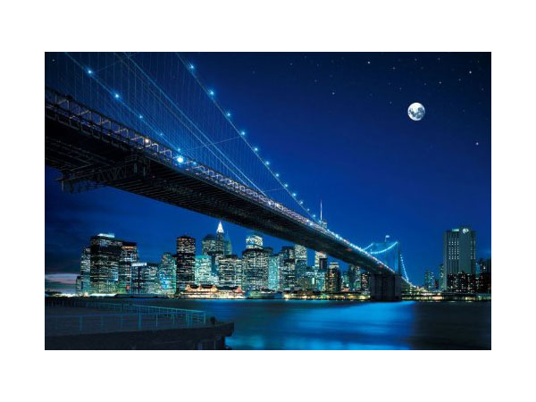 楽天市場】ジグソーパズル ブルックリンブリッジ夜景-ニューヨーク 23