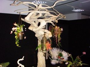流木？アート？ 特殊花材が面白い | 青山花茂BLOG