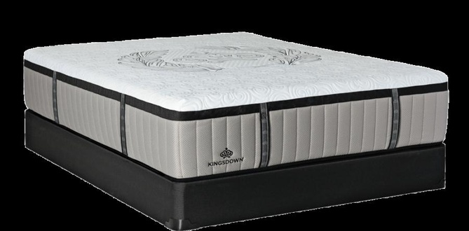 Kingsdown Crown Imperial Crest Plush | GoodBed