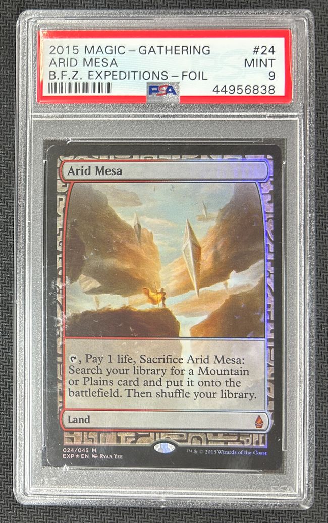 Foil】《乾燥台地/Arid Mesa》[EXP] 土地R | 日本最大級 MTG通販サイト