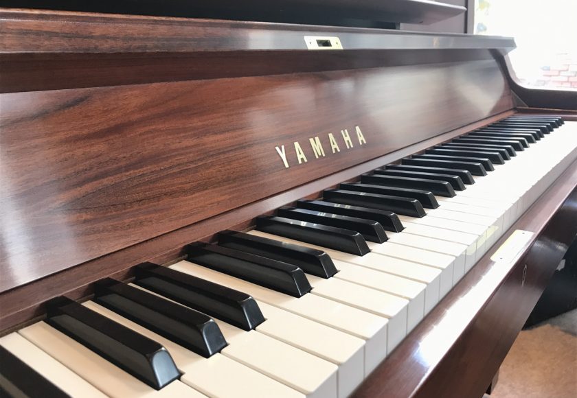 希少の逸品 今後入手不可能なローズウッド YAMAHA W101B ※SOLD | 浜松