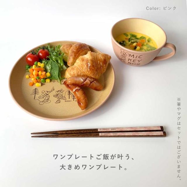 ディズニー 食器 皿 プレート 21cm ミッキー 抗菌加工 食洗機対応