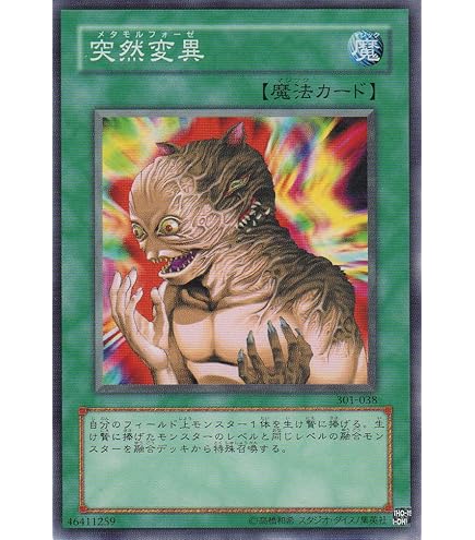 Amazon.co.jp: 【遊戯王】 魔のﾃﾞｯｷ破壊ｳｲﾙｽ (ﾚﾘｰﾌ) [FET-JP58] : ホビー