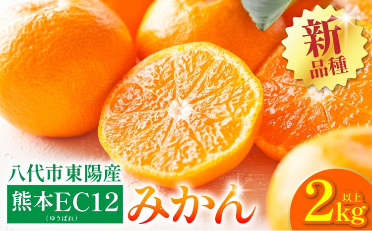 八代市 東陽産 EC12みかん 2kg以上入り(8玉～20玉) 柑橘 ミカン