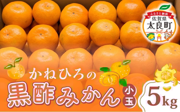 sd1_a0cf9b7f880f25b5f09b2fc161