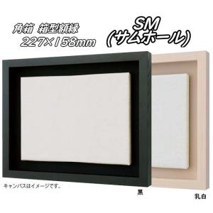 角箱 F10号 530×455mm 箱型額縁 油絵額縁 油彩額縁 油絵額 油彩額 油絵