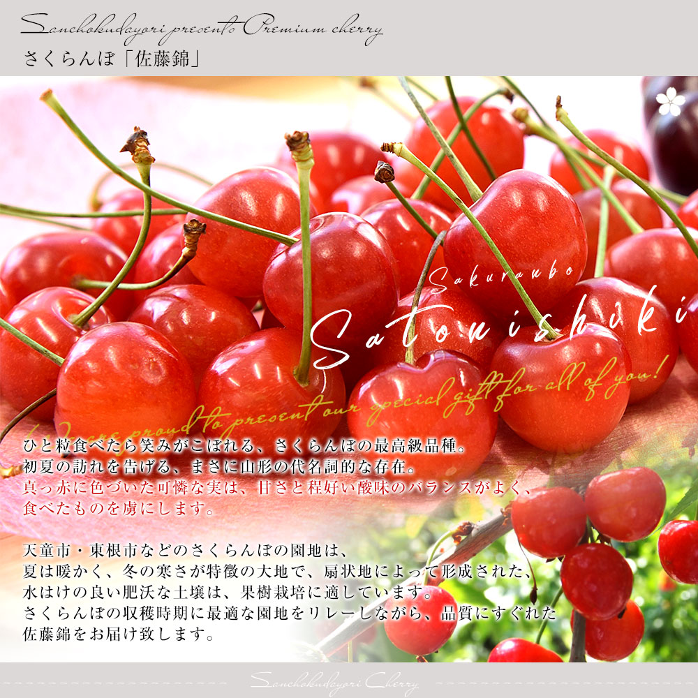 d_cherry121_03.jpg