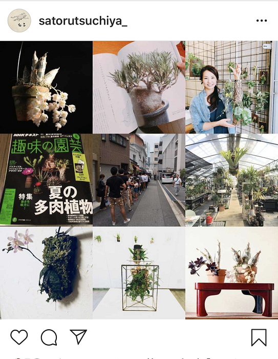 バルブも楽しい！オススメのタケノコ系のラン5選 | LOVEGREEN(ラブ