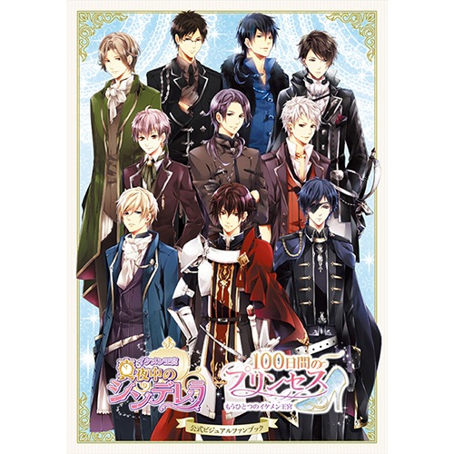 nadema特典あり】公式ビジュアルファンブック【イケメン王宮】【100