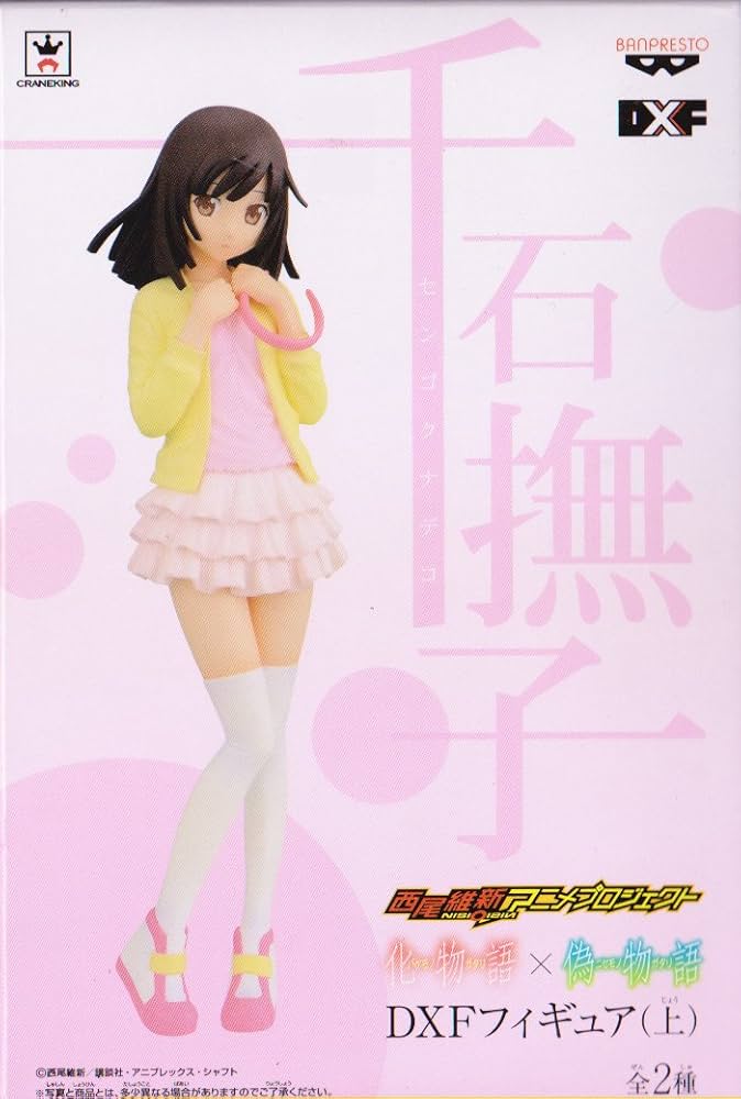 Amazon.co.jp: 西尾維新アニメプロジェクト 化物語×偽物語 DXF
