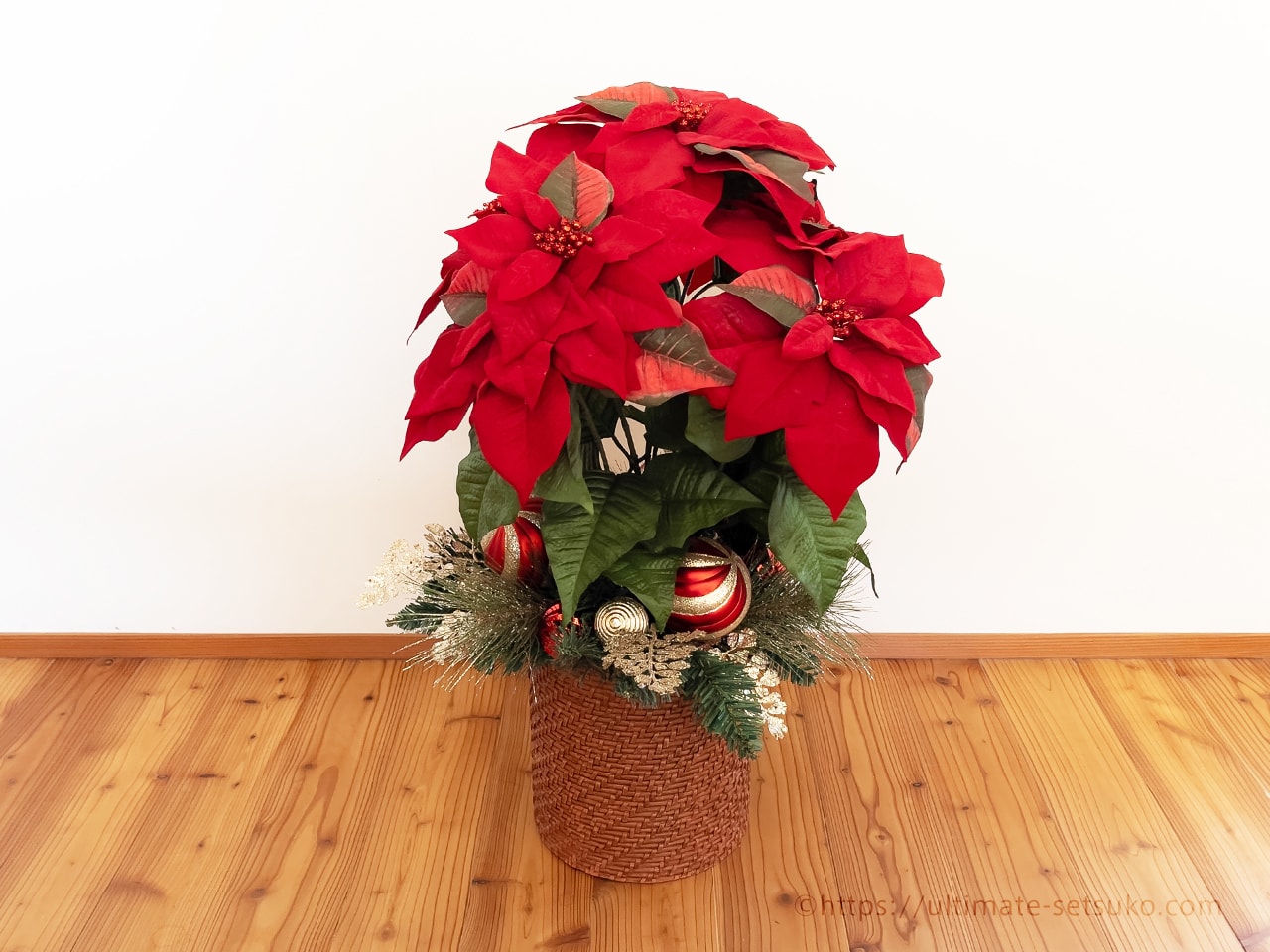 コストコのクリスマスおすすめ品はやっぱりポインセチアの鉢植え！置く