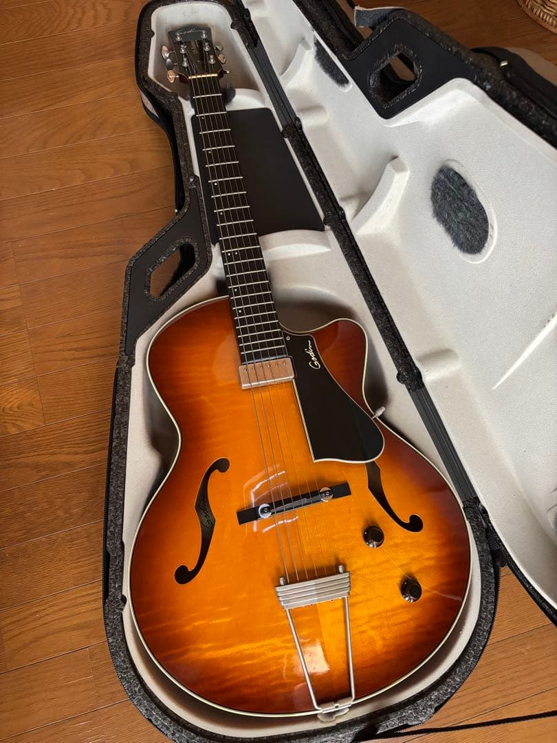 ゴダン Godin 5th Avenue Jazz 希少フルアコギター Godin 5th Avenue Jumbo HB Memphis Sun フルアコギター エレキギター