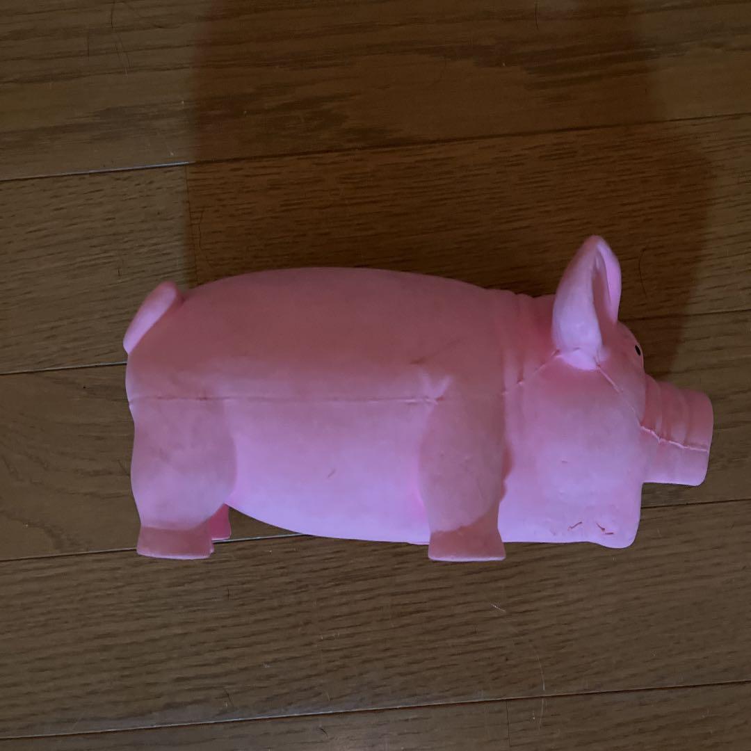 豚 pignic cafe -ピグニック カフェ- マイクロブタと遊べる牧場体験型の