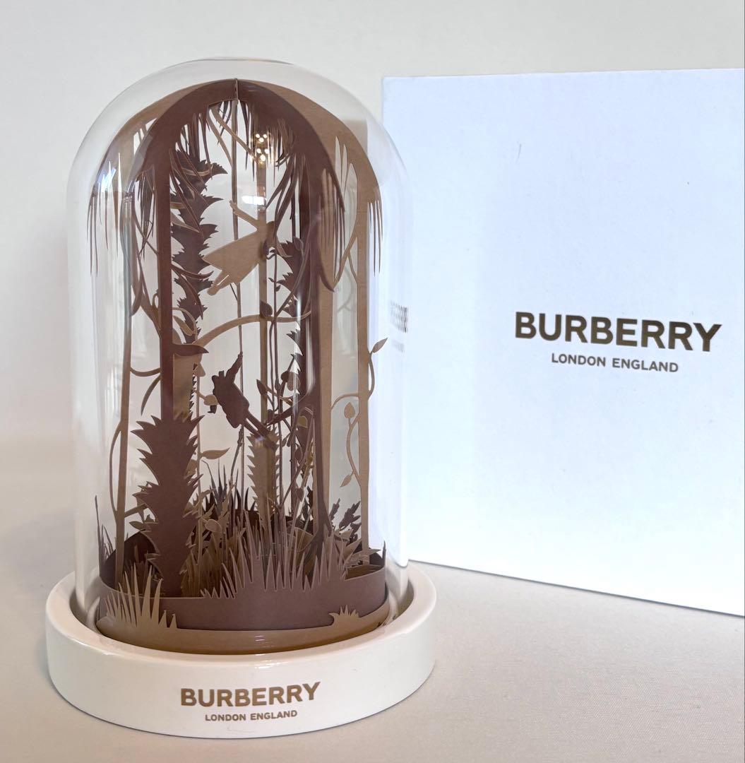 BURBERRY ガラスドームペーパークラフト ドームガラスのミニツリー ハーバリウム・植物標本 Fullfleur 通販