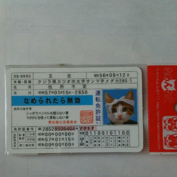 懐かしのなめ猫の免許証です。（未使用） Amazon.co.jp: なめ猫 キャラクターステッカー 免許証 LCS447 懐かし
